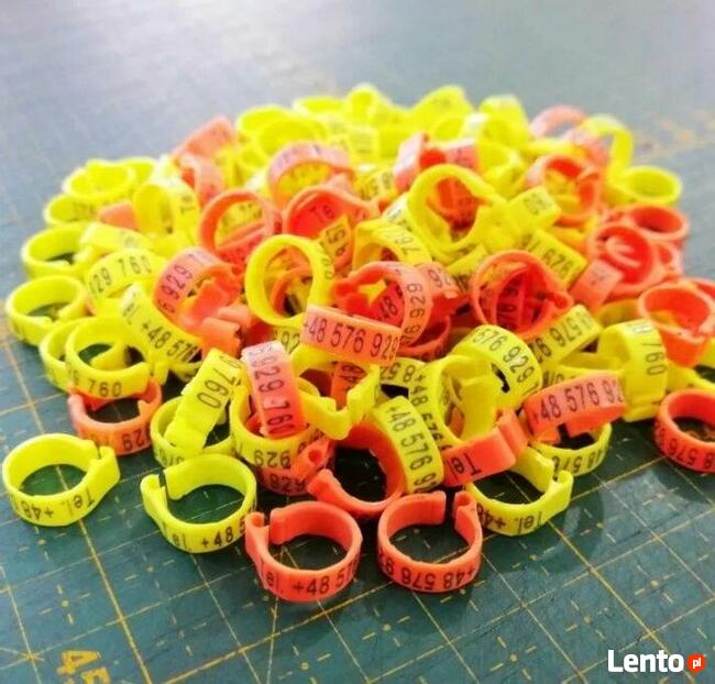 Naklejki na Tipesy, Znaczniki, dla gołębi LUX Laminowane!