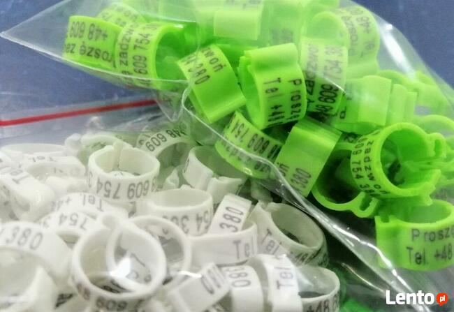 Naklejki na Tipesy, Znaczniki, dla gołębi LUX Laminowane!