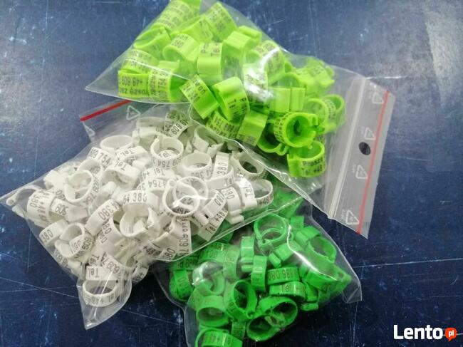 Znaczniki grawerowane dla gołębi pocztowych ADRESÓWKI