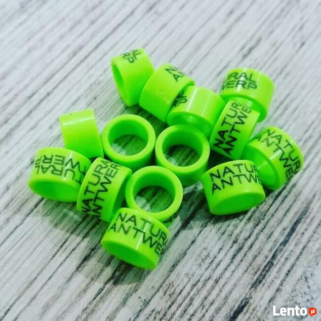 Obrączki dla ptaków, gołębi, adresówki, pocztowe