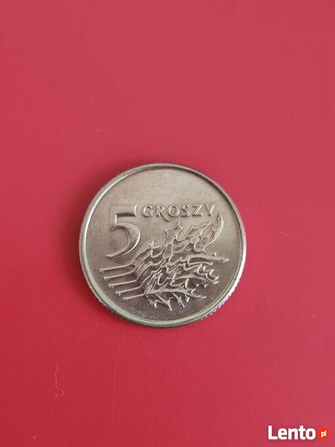 5 groszy 1993r. w slabie.