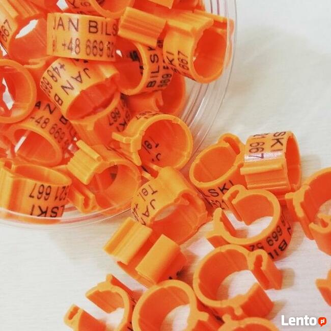 Naklejki na Tipesy, Znaczniki, dla gołębi LUX Laminowane!