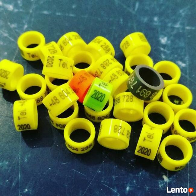 Obrączki dla ptaków, gołębi, adresówki, pocztowe