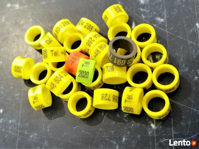 Obrączki dla ptaków, gołębi, adresówki, pocztowe