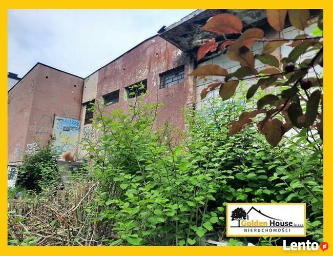 Lokal Dąbrowa Górnicza Centrum, ul. Sienkiewicza