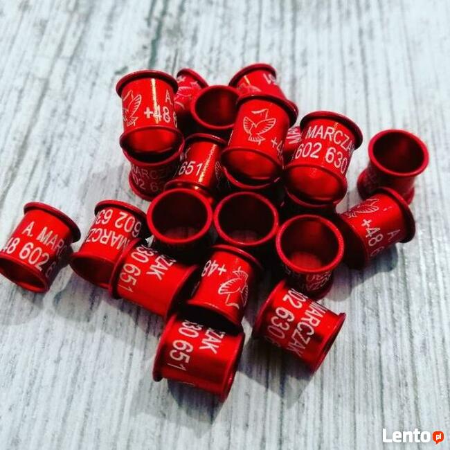 Obrączki aluminiowe grawerowane dla gołębi PZHGP