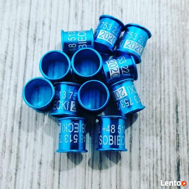 Obrączki aluminiowe grawerowane dla gołębi PZHGP