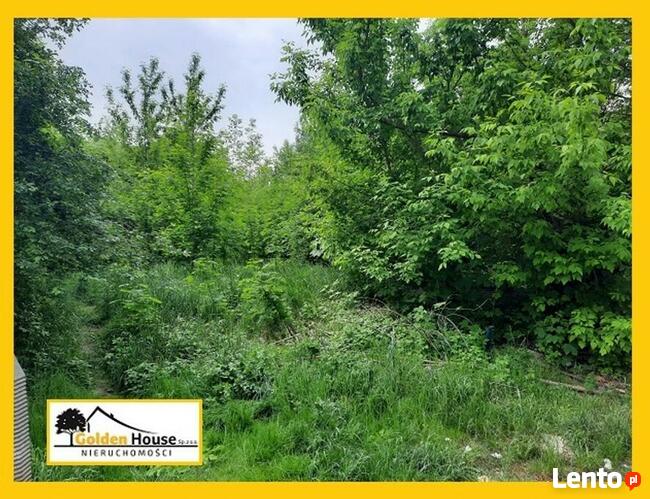 Lokal Dąbrowa Górnicza Centrum, ul. Sienkiewicza