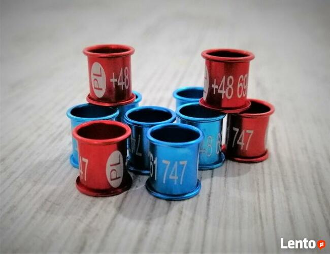 Obrączki aluminiowe grawerowane dla gołębi PZHGP