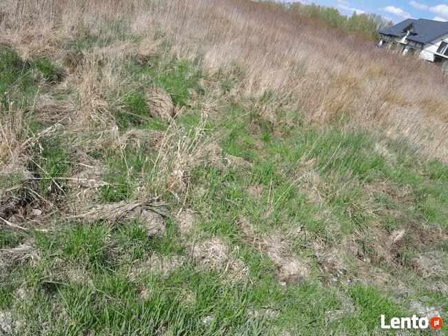 Bezpośrednio dzialka w Malcanowie do sprzedania/budowlana