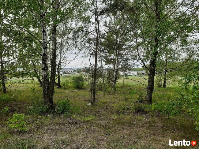 Na sprzedaż działka w Borku gm. Godziesze