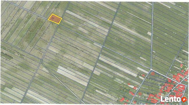 Syndyk sprzeda udział w nieruchomości w Starym Dziebałtowie