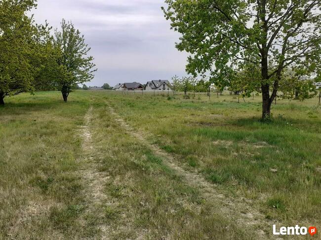 Na sprzedaż działka w Borku gm. Godziesze