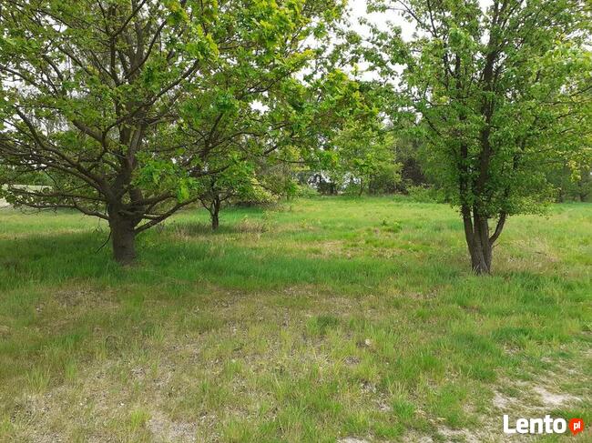 Na sprzedaż działka w Borku gm. Godziesze