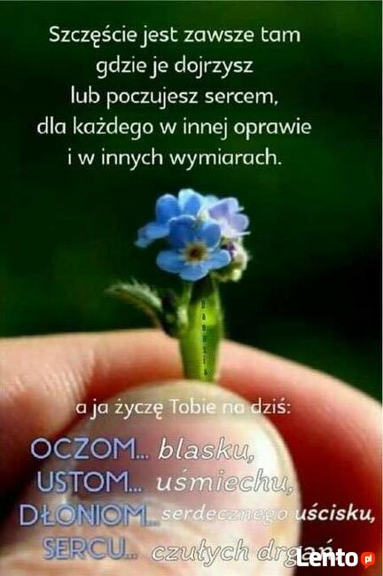 Facet szuka kumpla