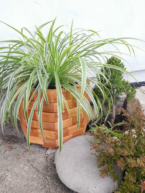 Donica drewniana sosnowa OŚMIOKĄTNA