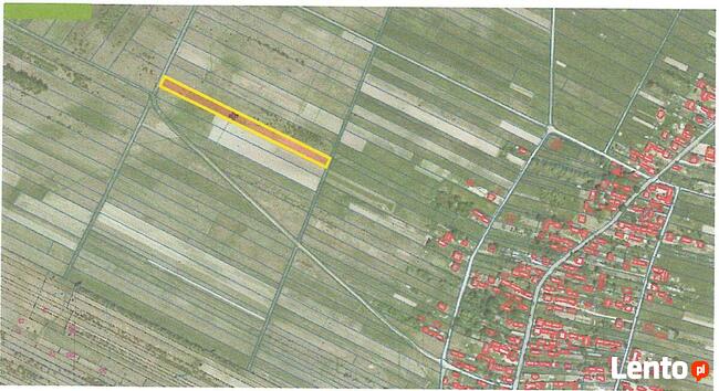 Syndyk sprzeda udział w nieruchomości w Starym Dziebałtowie