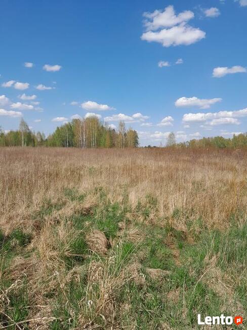 Bezpośrednio dzialka w Malcanowie do sprzedania/budowlana