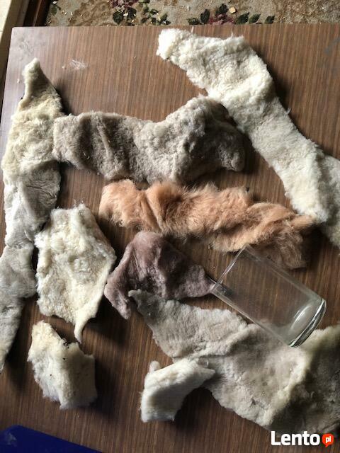 skórki, futerka- kawałki, ścinki