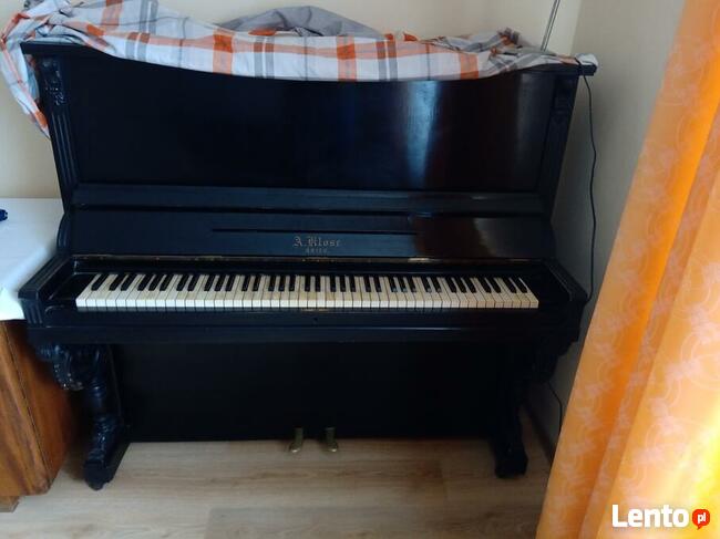 Pianino czarne A. Klose Brieg