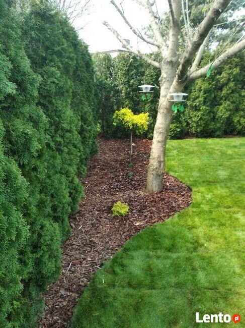 Ogrody, Projekty, Automatyczny System Nawodnienia itd.