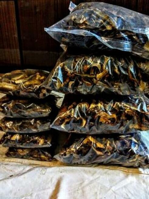 Borowik szlachetny (susz)