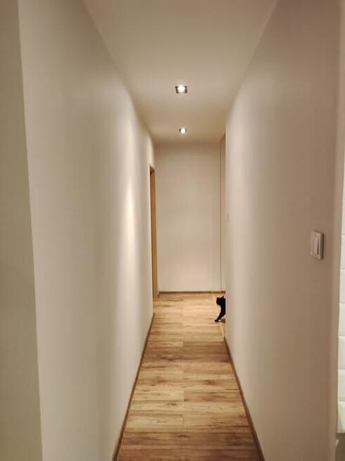 Piękny, duży pokój od 1 września.