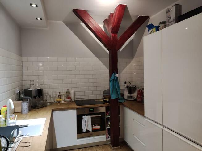 Piękny, duży pokój od 1 września.