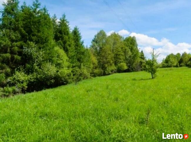 Działka inwestycyjna Warszawa Augustówka