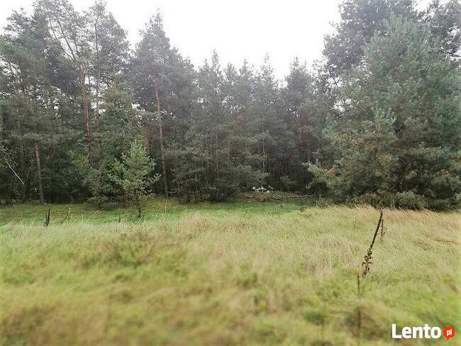 Działka rekreacyjna - Jasień (gm. Staszów) 1900 m2