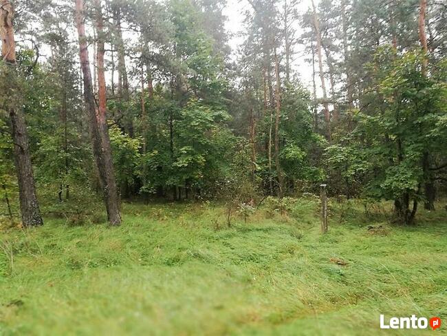 Działka rekreacyjna - Jasień (gm. Staszów) 1900 m2