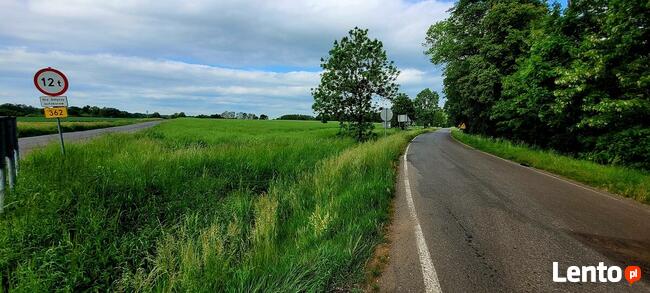 Działka Rolna (37800 m2) gm. Kąty Wrocławskie (Skałka)