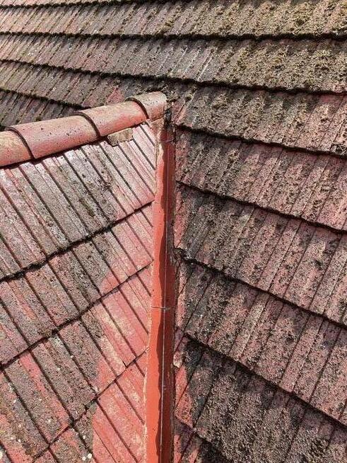 zatrudnię pracowników