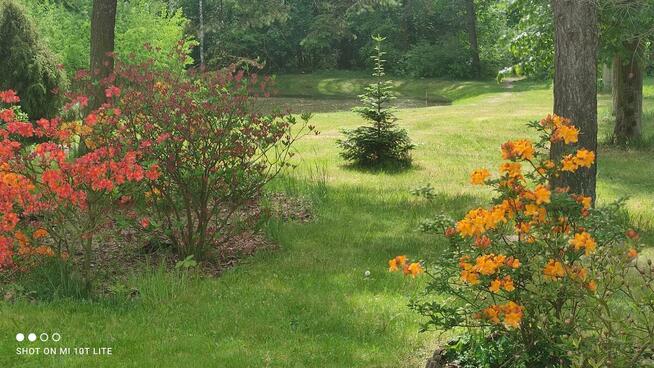 Psycholog do Przedszkola Terapeutycznego