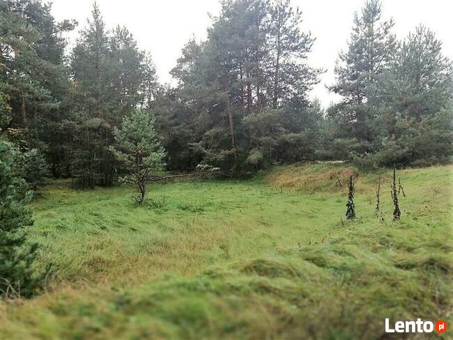 Działka rekreacyjna - Jasień (gm. Staszów) 1900 m2