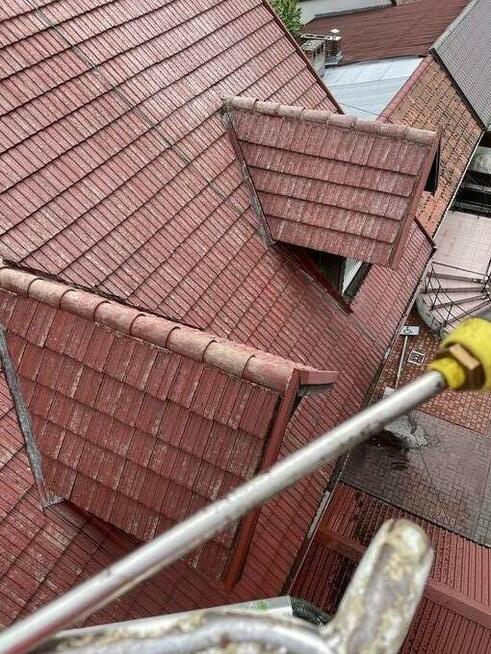 zatrudnię pracowników