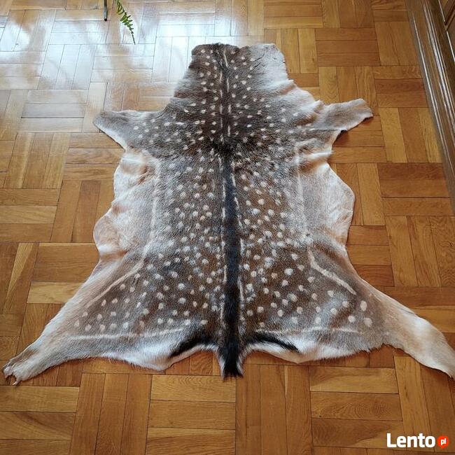 Skóry Dekoracyjne Renifer Skóra Bydlęca Skóra Kozia