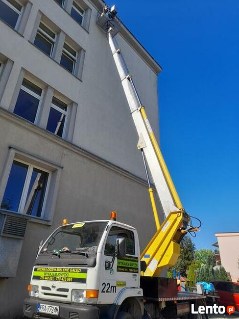 Wycinka Drzew Zwyżka rębak usuwanie korzeni Skawina