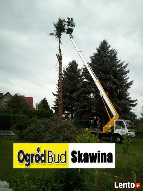 Wycinka Drzew Zwyżka rębak usuwanie korzeni Skawina