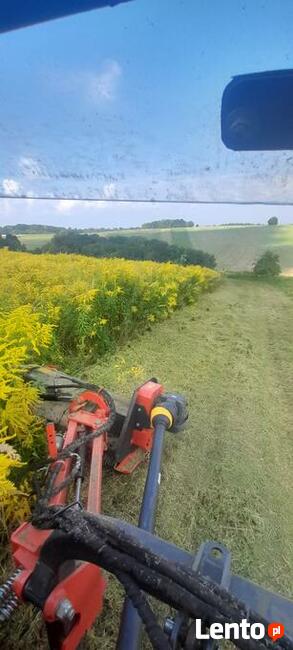 Wycinka Drzew Zwyżka rębak usuwanie korzeni Skawina