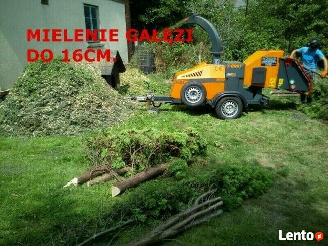 Wycinka Drzew Zwyżka rębak usuwanie korzeni Skawina
