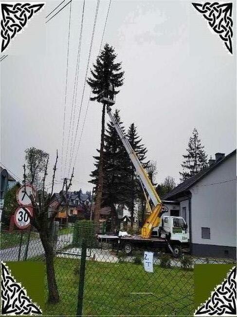 Wycinka Drzew Zwyżka rębak usuwanie korzeni Skawina