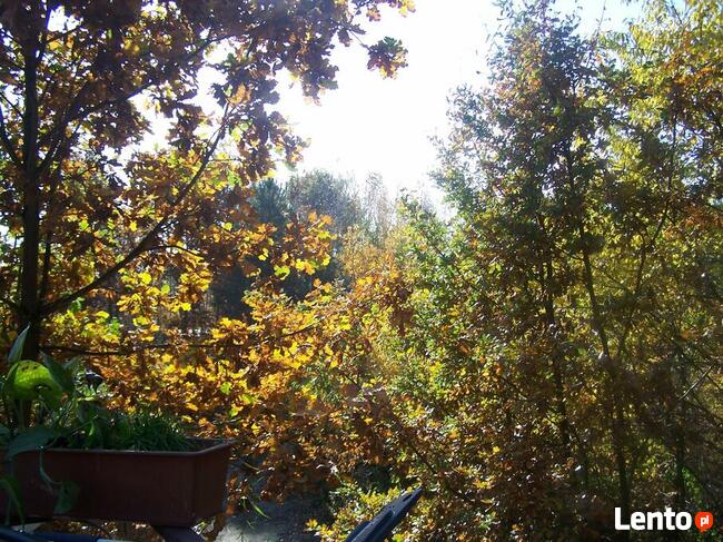 Mam do wynajęcia pokój z łazienką dostęp do kuchni