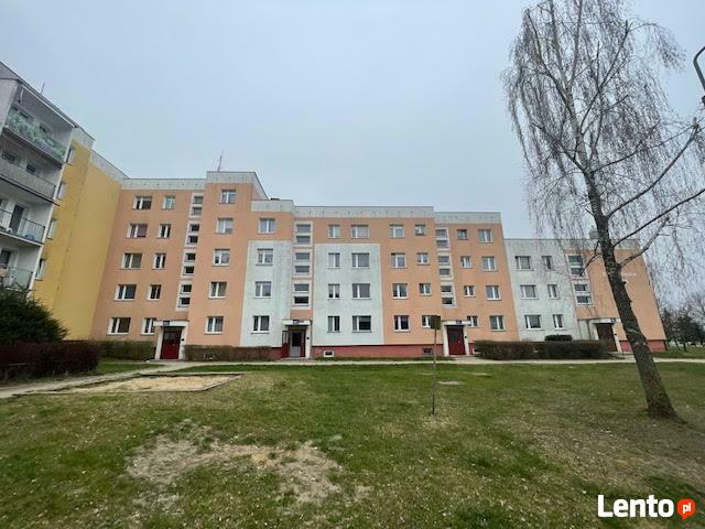 Wynajmę mieszkanie - Elbląg, Od 1 stycznia 2023