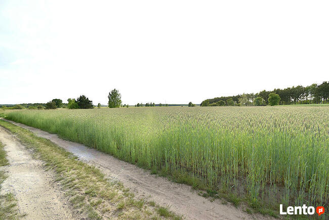 DZIAŁKA NA SPRZEDAŻ