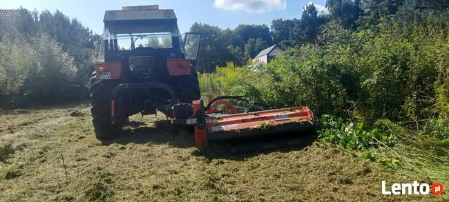Wycinka Drzew Zwyżka rębak usuwanie korzeni Skawina