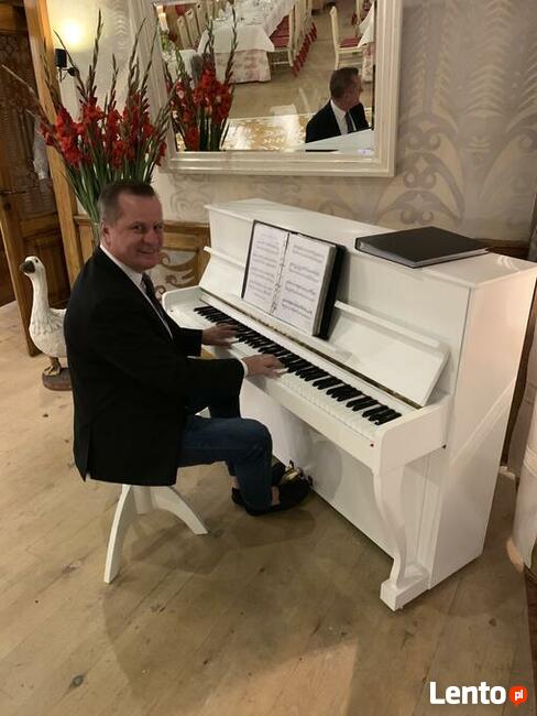 Pianista muzyk zawodowy
