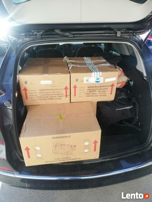 POLSKA NIEMCY SŁOWACJA AUSTRIA