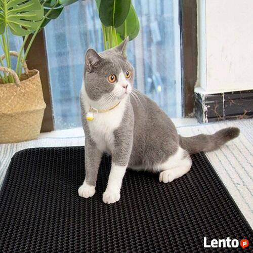 Mata Pod Kuwetę Dla Kotów Na Żwirek. Polecam