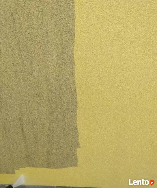 Mycie dachu - mycie elewacji - mycie kostki brukowej